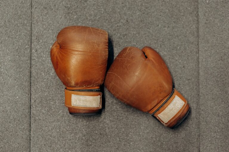 Boxing Glove - Featured Image